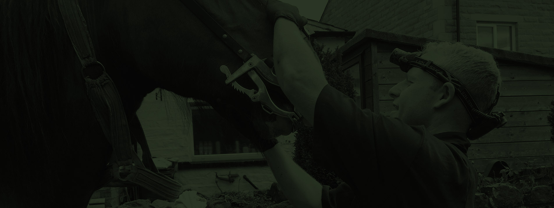 Charles Barker Equinedental Horse Dentist Addingham Nr Ilkley and