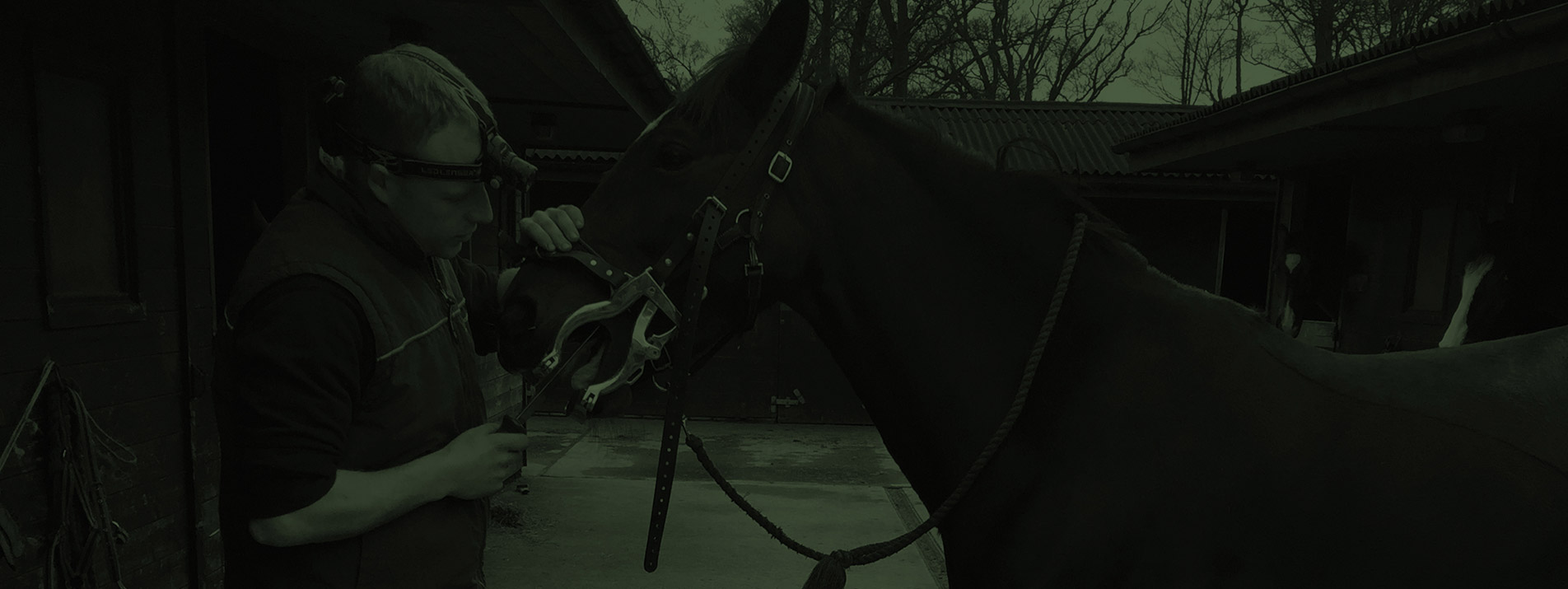 Charles Barker Equinedental Horse Dentist Addingham Nr Ilkley and